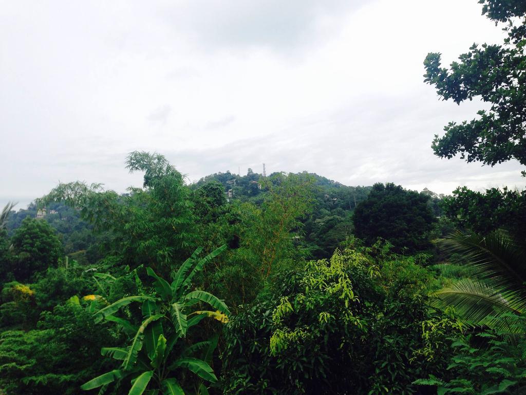 Vin Roma Inn Kandy Exteriör bild